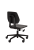 LS-1B/PL
