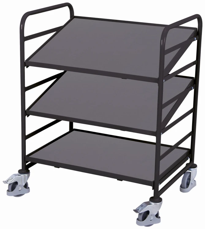 Wózek platformowy sw-610.201/AG — widok 1