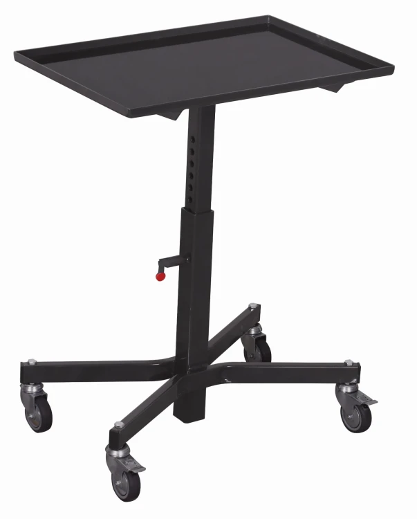 Wózek platformowy sw-405.001/AG — widok 2