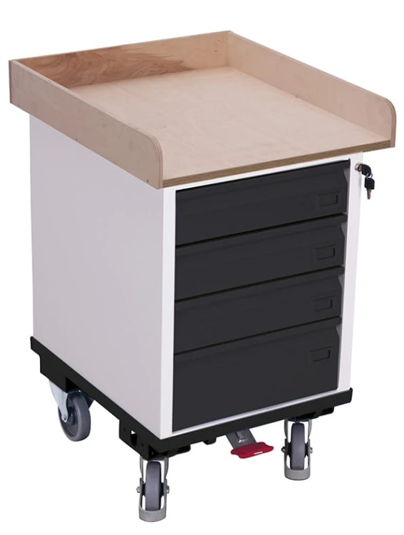 Wózek platformowy sw-500.015/AG — widok 1