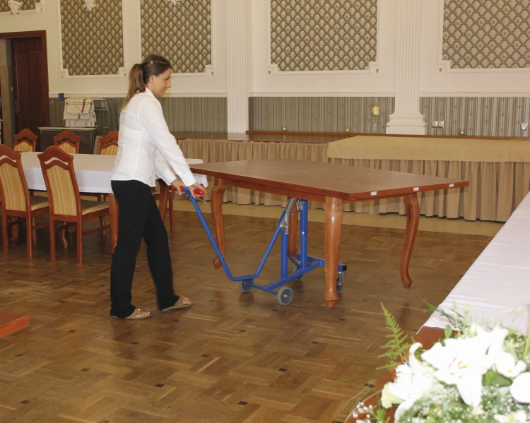 Wózek platformowy sw-490.001 — widok 4