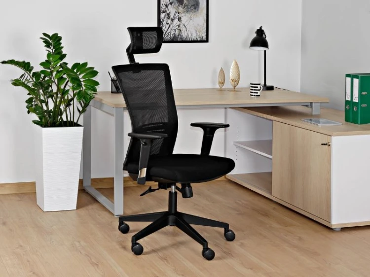 ergonic_p_tkzwr_Wpw6Er.jpg